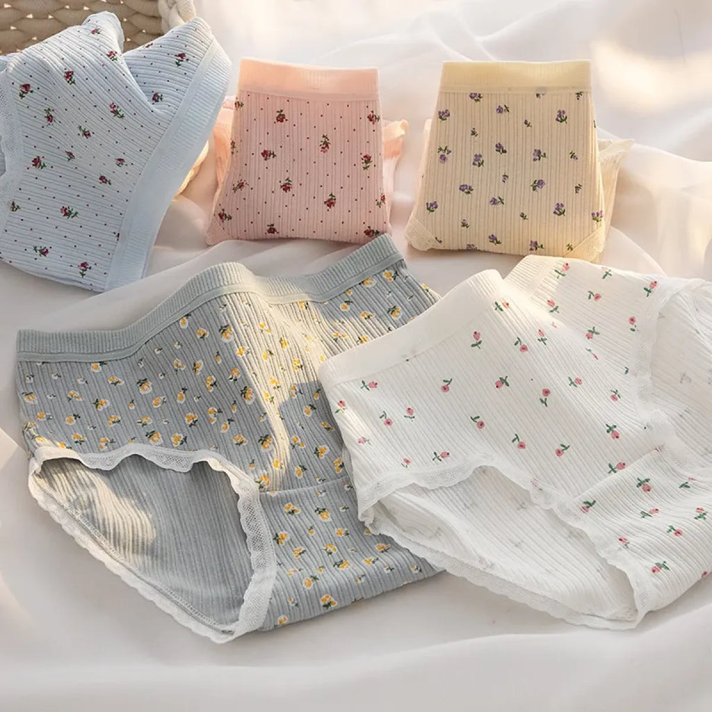 5-Pack Cotton Panties for Women - Plus Size Cute Soft Briefs Sexy Lingerie